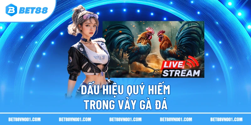 Cách Xem Vảy Gà Đá Chuẩn Xác Theo Kinh Nghiệm Sư Kê 4 Cách Xem Vảy Gà Đá Chuẩn Xác Theo Kinh Nghiệm Sư Kê Dấu hiệu quý hiếm trong vảy gà đá