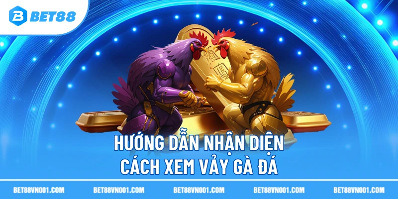 Cách Xem Vảy Gà Đá Chuẩn Xác Theo Kinh Nghiệm Sư Kê 2 Cách Xem Vảy Gà Đá Chuẩn Xác Theo Kinh Nghiệm Sư Kê Hướng dẫn nhận diện cách xem vảy gà đá