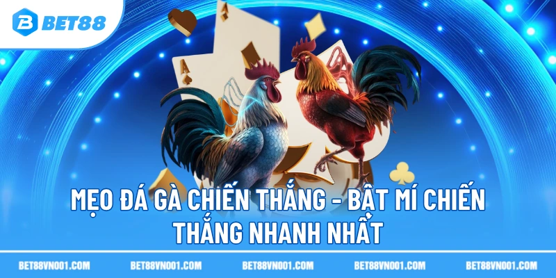 Mẹo Đá Gà Chiến Thắng - Bật Mí Chiến Thắng Nhanh Nhất 3 Mẹo Đá Gà Chiến Thắng - Bật Mí Chiến Thắng Nhanh Nhất Phân tích phương pháp qua chiến thuật đá gà